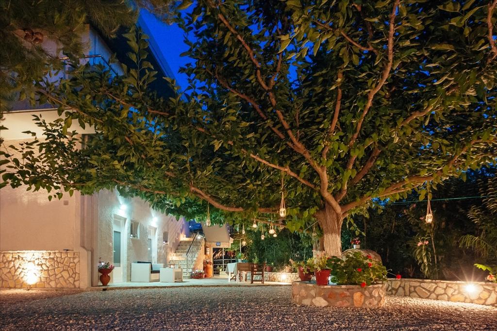 Dimitra Apartments 坎迪亚 外观 照片